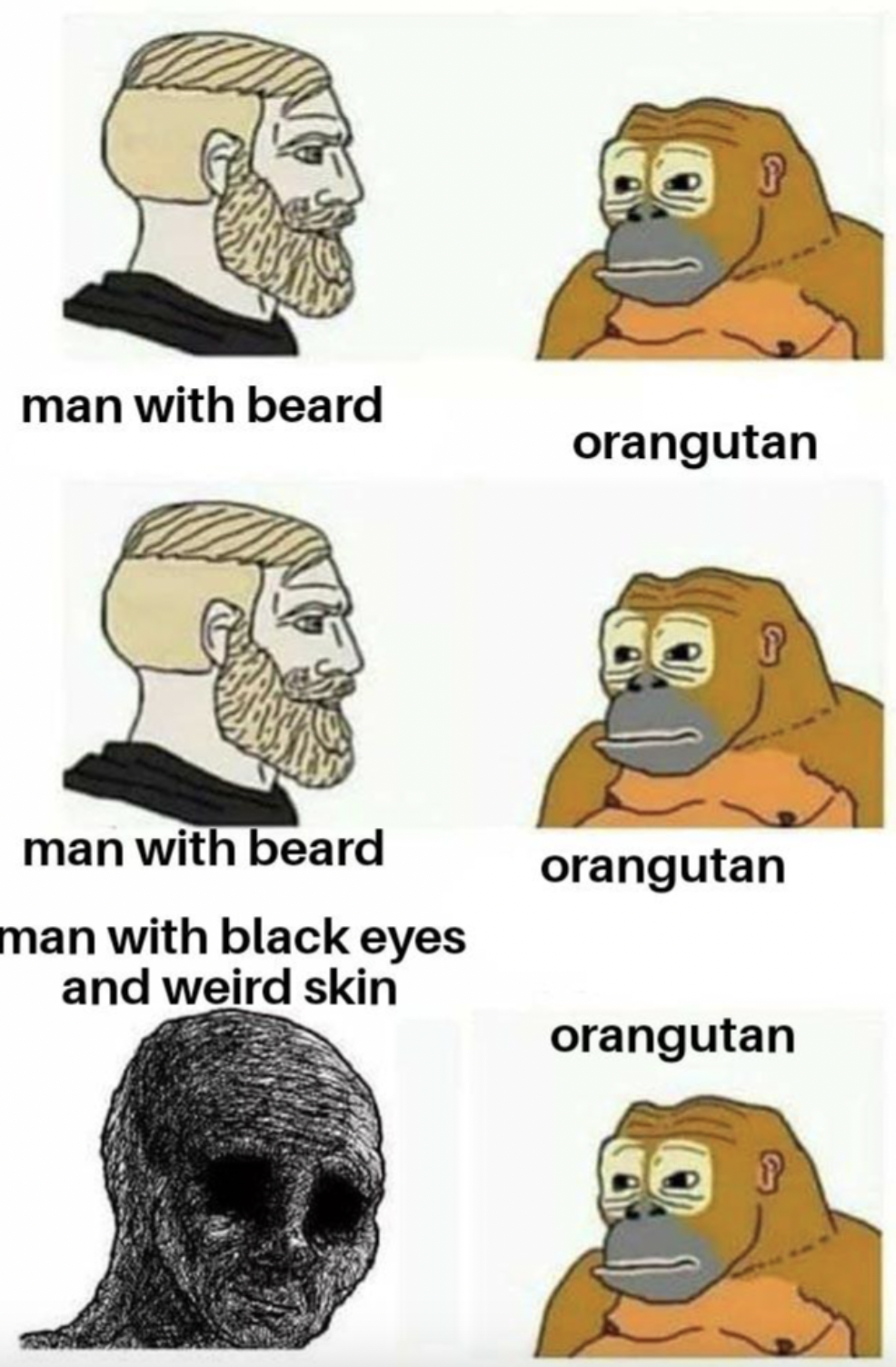 man with beard orangutan man with beard orangutan man with black eyes and weird skin orangutan